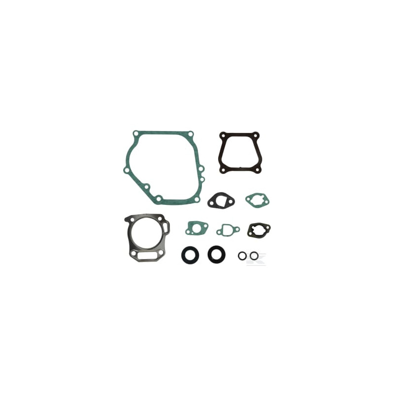 Briggs et Stratton 594272 Kit d'étanchéité, moteur