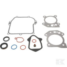 Briggs et Stratton 84006582 Kit de joints moteur