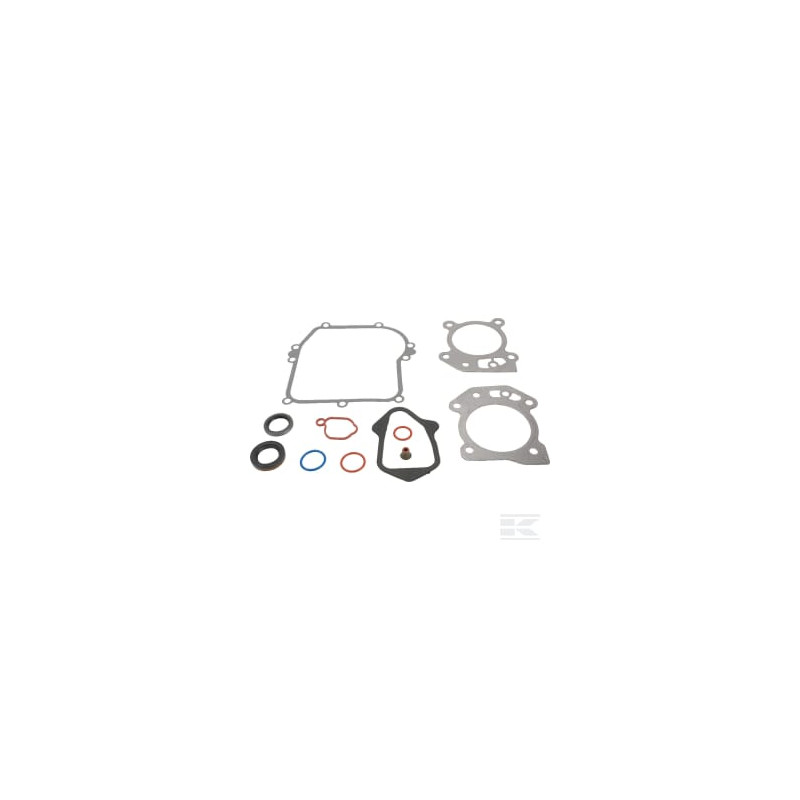 Briggs et Stratton 84006582 Kit de joints moteur