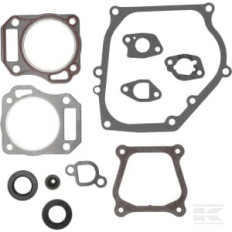 Briggs et Stratton 594951 Joint d'etancheite - moteur