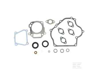 Briggs et Stratton 715032 Kit d'étanchéité, moteur
