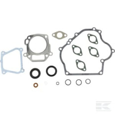Briggs et Stratton 715032 Kit d'étanchéité, moteur