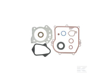 Briggs et Stratton 84006587 Jeu de joints, moteur