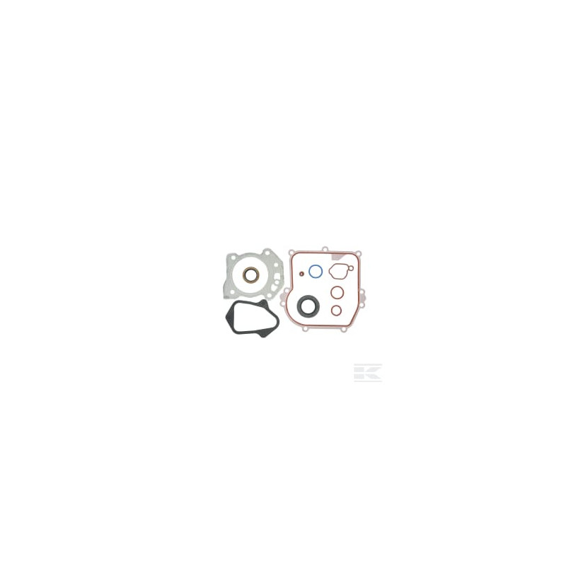 Briggs et Stratton 84006587 Jeu de joints, moteur