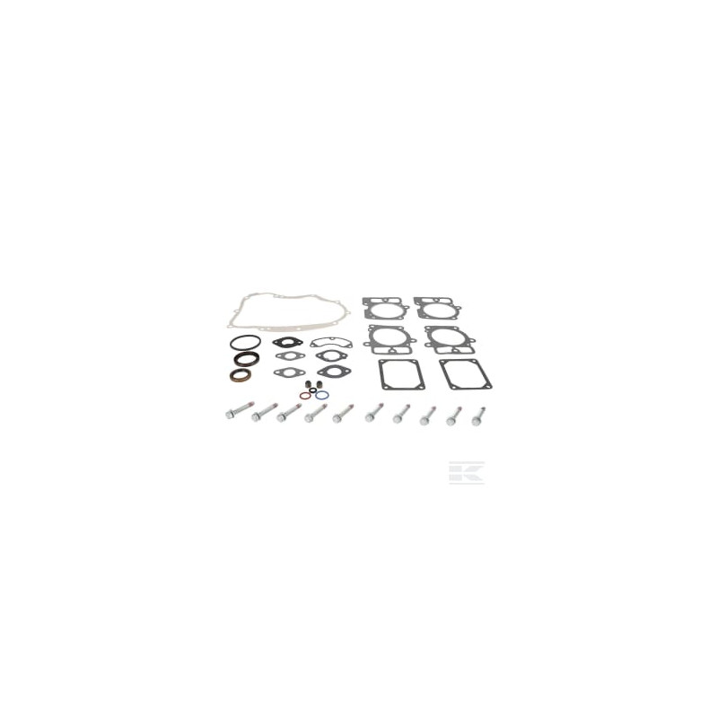 Briggs et Stratton 84001915 Kit de joints moteur