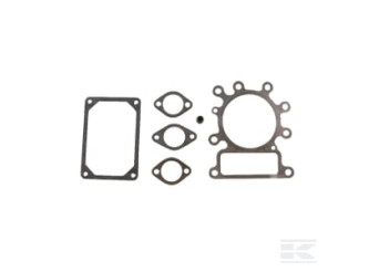 Briggs et Stratton 495992 Kit de réparation valves