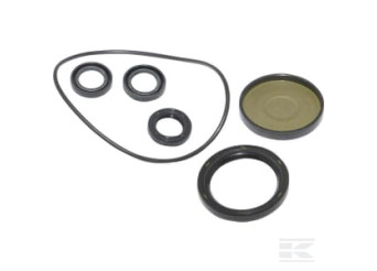 Briggs et Stratton 202B2126GS Kit, joint d'huile