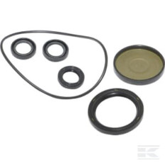 Briggs et Stratton 202B2126GS Kit, joint d'huile