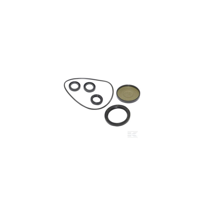 Briggs et Stratton 202B2126GS Kit, joint d'huile