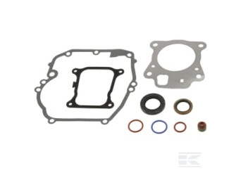 Briggs et Stratton 597320 Jeu de joints-moteur
