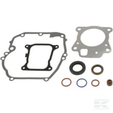 Briggs et Stratton 597320 Jeu de joints-moteur