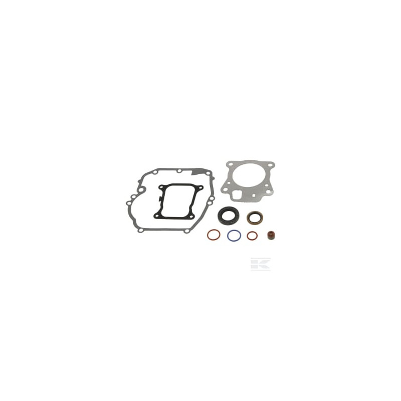 Briggs et Stratton 597320 Jeu de joints-moteur