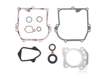Briggs et Stratton 84006583 Jeu de joints, moteur