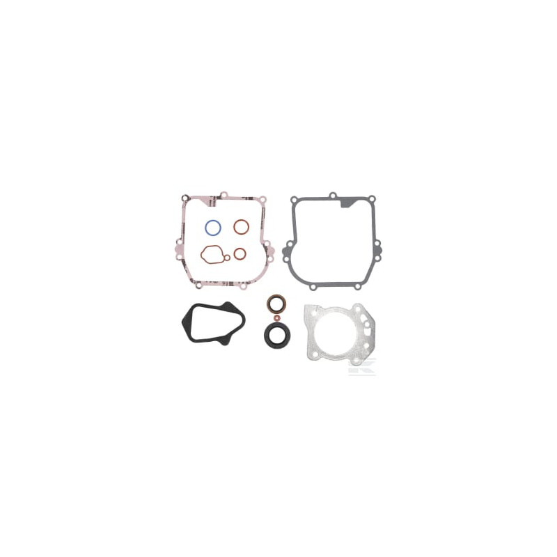 Briggs et Stratton 84006583 Jeu de joints, moteur