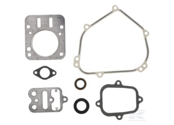 Briggs et Stratton 555631 Kit de joints moteur