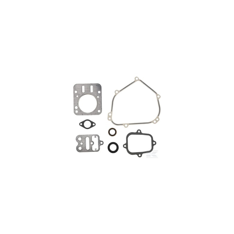 Briggs et Stratton 555631 Kit de joints moteur
