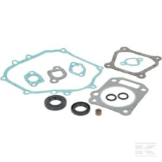 Briggs et Stratton 84004308 Kit de joints moteur