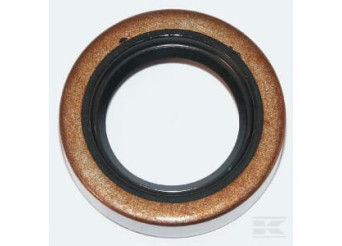 Briggs et Stratton 391485 Joint à lèvre