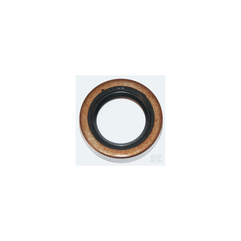 Briggs et Stratton 391485 Joint à lèvre