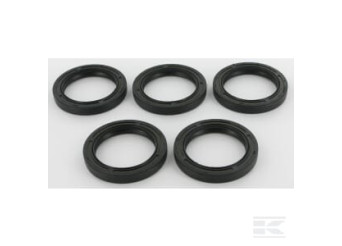 Briggs et Stratton 4115 Contient 5 x 291675S