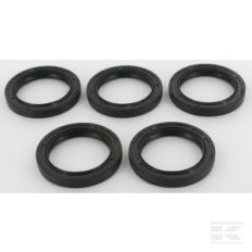 Briggs et Stratton 4115 Contient 5 x 291675S