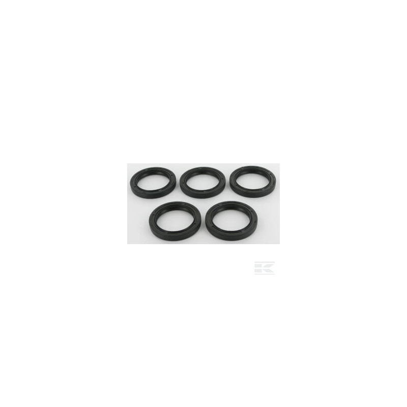 Briggs et Stratton 4115 Contient 5 x 291675S