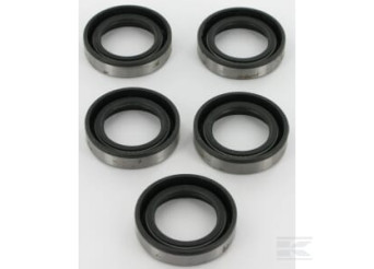 Briggs et Stratton 4118 Contient 5 x 391483S