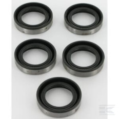 Briggs et Stratton 4118 Contient 5 x 391483S