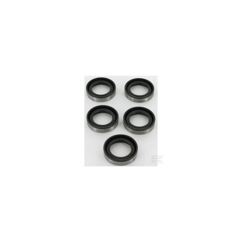 Briggs et Stratton 4118 Contient 5 x 391483S