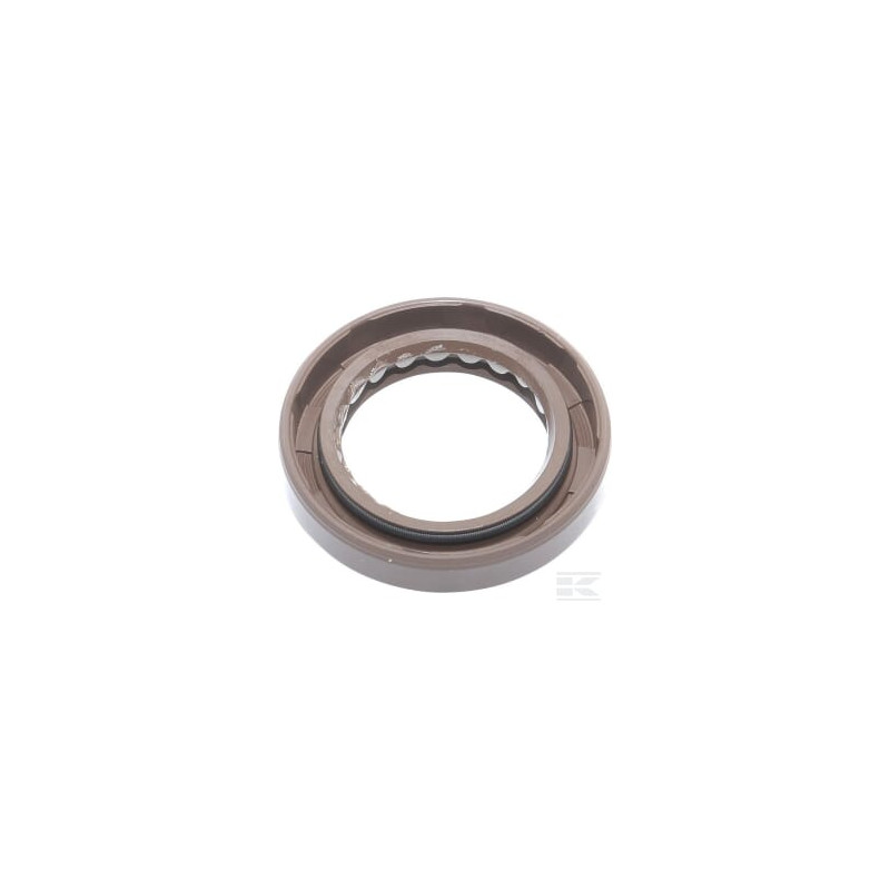 Briggs et Stratton 591793 Joint d'huile