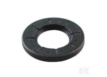 Briggs et Stratton 692020 Joint à lèvre