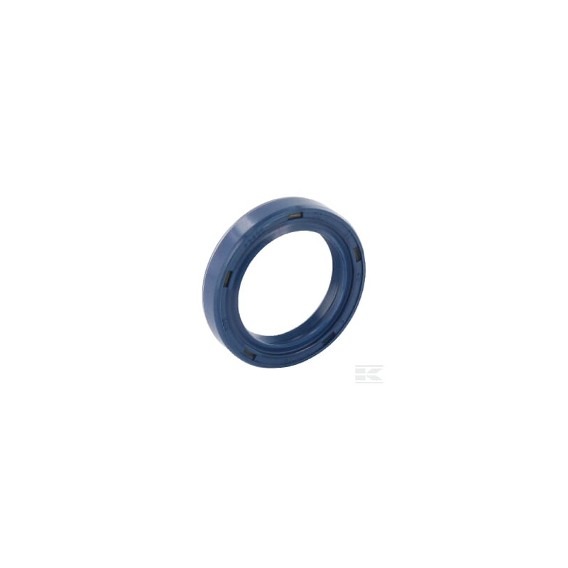 Briggs et Stratton 845659 Joint d'huile