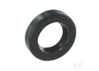 Briggs et Stratton 84010839 Joint d'huile