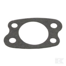 Briggs et Stratton 692081 Joint de filtre