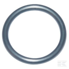 Briggs et Stratton 270344S Joint torique