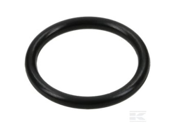 Briggs et Stratton 690591 Joint torique