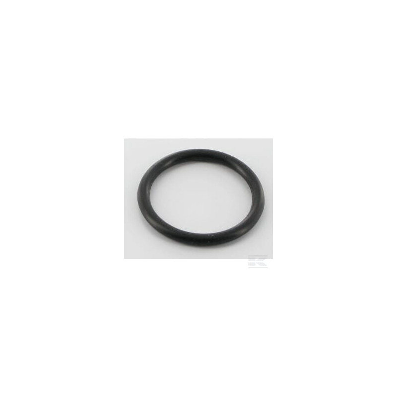 Briggs et Stratton 691031 Joint torique