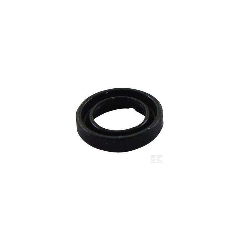 Briggs et Stratton 692407 Joint torique