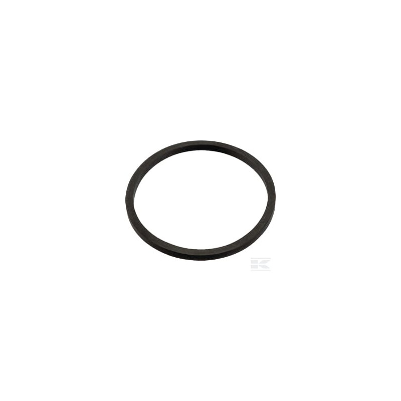 Briggs et Stratton 796222 Joint torique