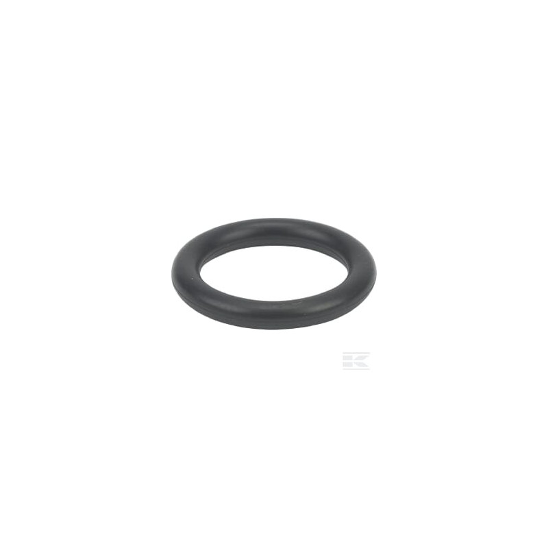 Briggs et Stratton 699725 Joint torique