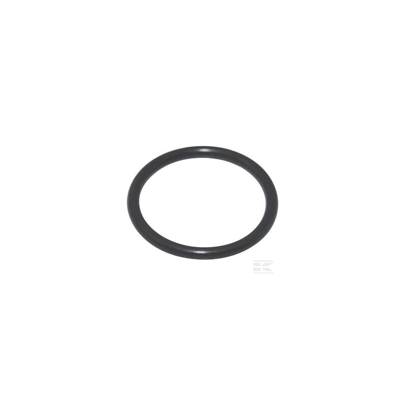 Briggs et Stratton 798511 Joint torique