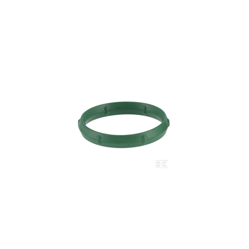 Briggs et Stratton 594209 Seal-o ring