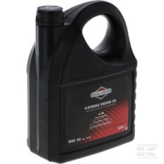 Briggs et Stratton 100009E Huile SAE 30 5L