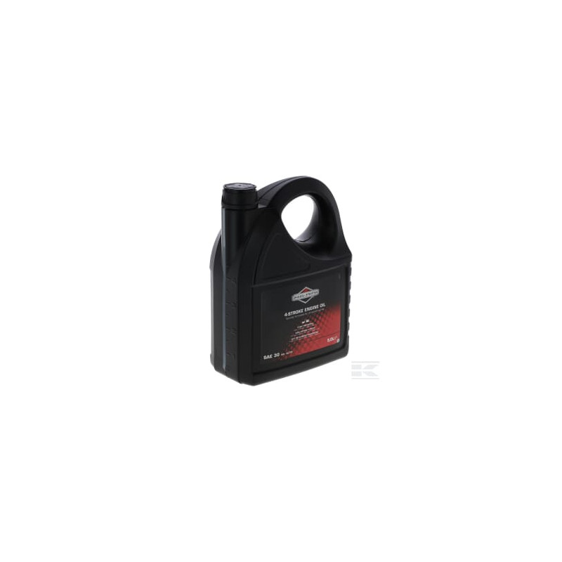 Briggs et Stratton 100009E Huile SAE 30 5L