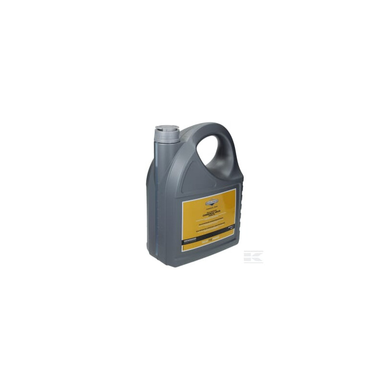 Briggs et Stratton 100009V Huile moteur 15W50 entièrement synthétique 5L Briggs et Stratton