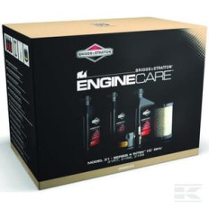 Briggs et Stratton 992243 Kit de mise au point modèle 31