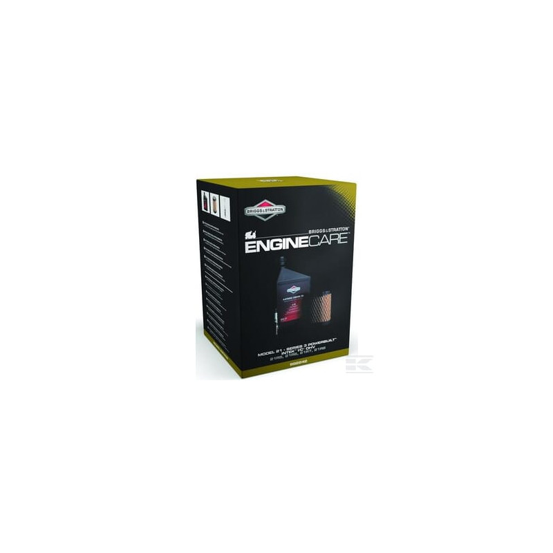 Briggs et Stratton 992242 Kit de mise au point modèle 21