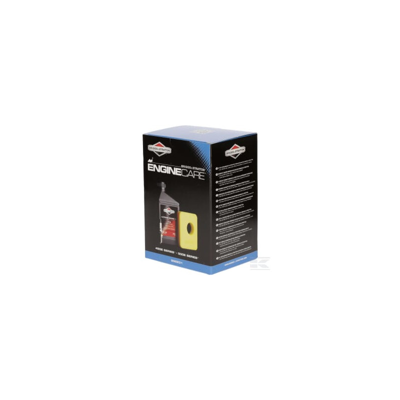 Briggs et Stratton 992231 Kit entretien série 450E, 500E