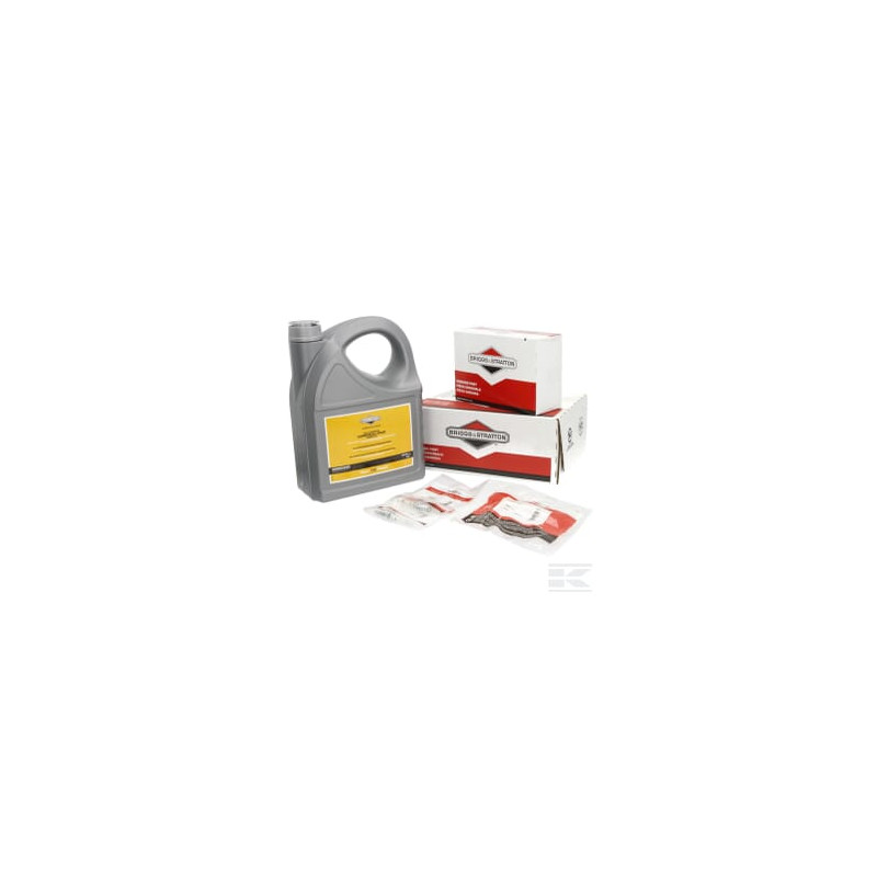 Briggs et Stratton 992245 Kit d'entretien Vanguard