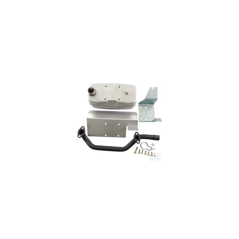 Briggs et Stratton 807752 Echappement